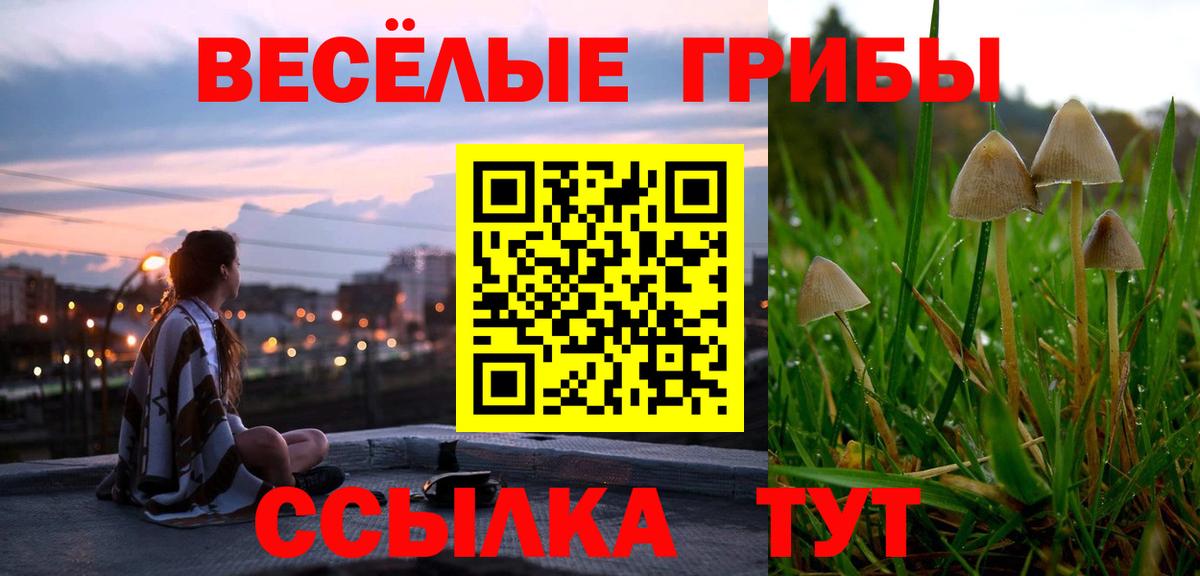 Псилоцибиновые грибы прущие грибы Тара